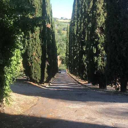 Il Poggio *
