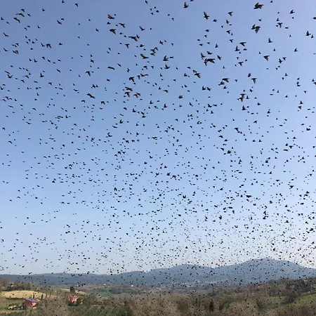Сasa de vacaciones Il Poggio