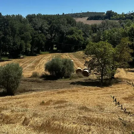 Feriehus Il Poggio